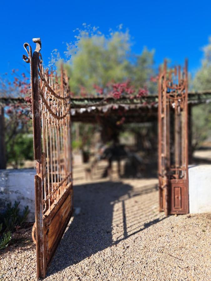 Olive Grove Cottage Koringberg Εξωτερικό φωτογραφία
