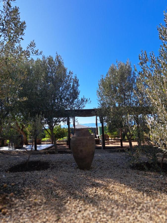 Olive Grove Cottage Koringberg Εξωτερικό φωτογραφία