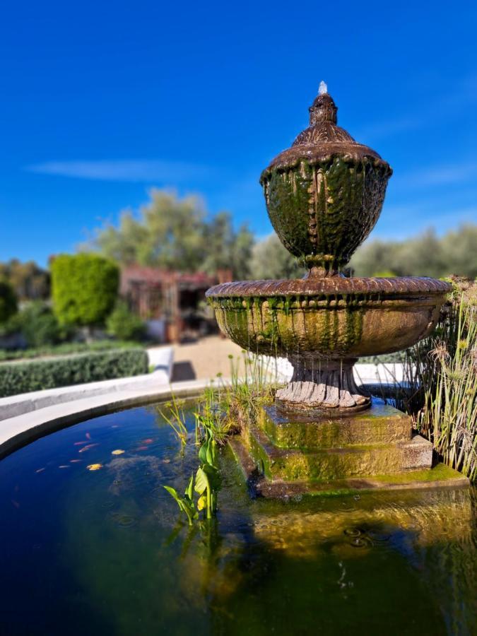 Olive Grove Cottage Koringberg Εξωτερικό φωτογραφία