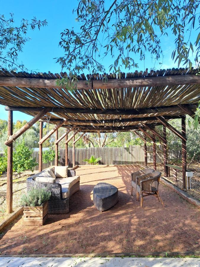 Olive Grove Cottage Koringberg Εξωτερικό φωτογραφία
